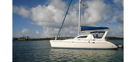Leopard 38