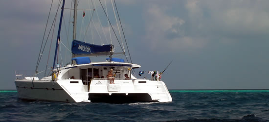 Knysna 480