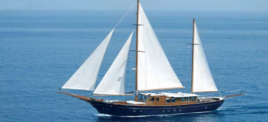 M/S Liana H