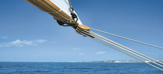 Prince De Neufchatel