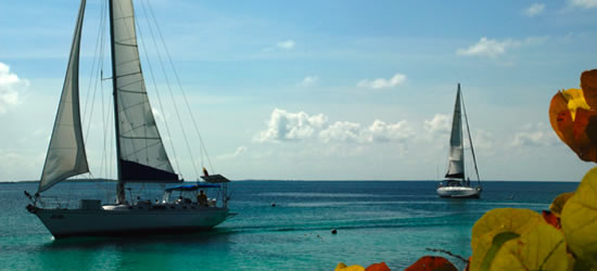 S/Y El Bicho