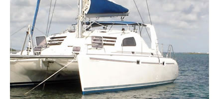 Leopard 38