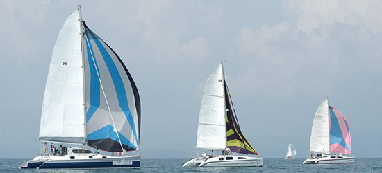Oasis Catamaran