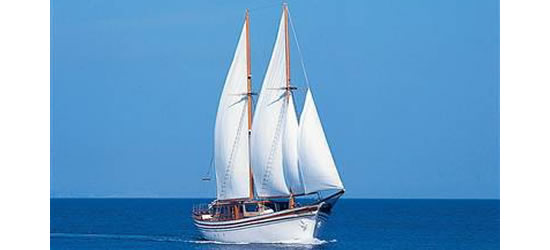M/S Hermina