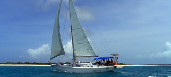 S/Y El Bicho