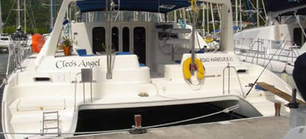 Leopard 47