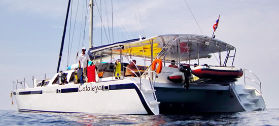 Catamaran Cataleya