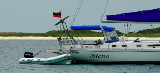 S/Y El Bicho