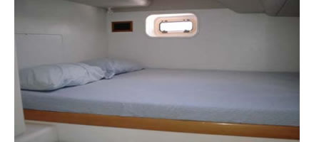 Leopard 38