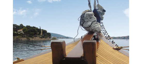 Prince De Neufchatel