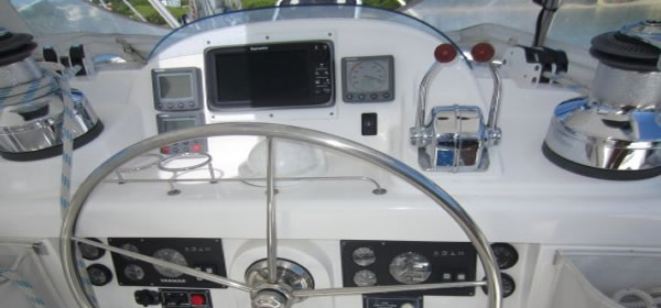 Leopard 46