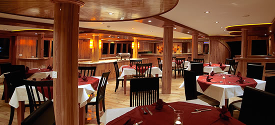 M/V Orion