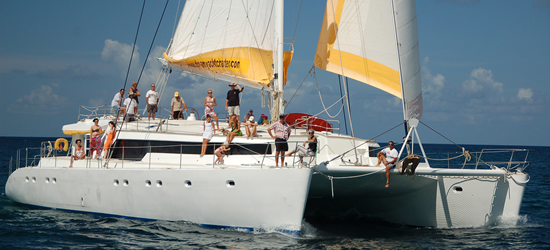 Mojito 78