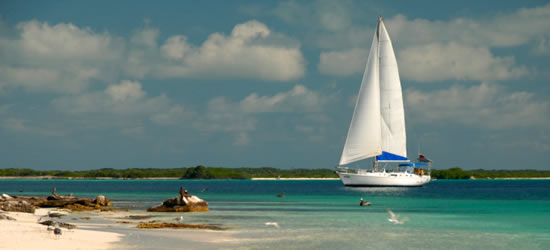 S/Y El Bicho