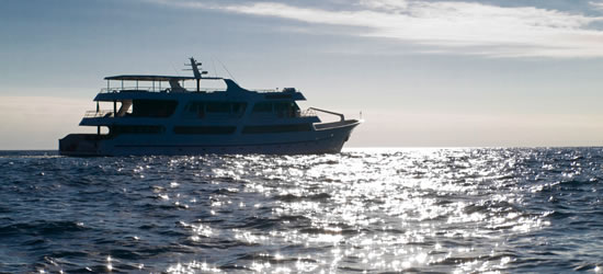 Galapagos Odyssey