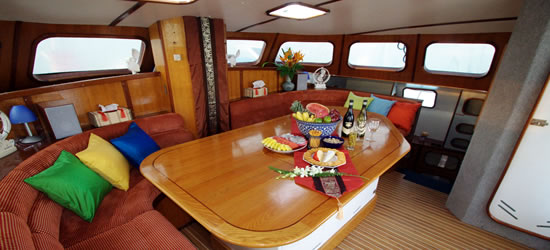 Oasis Catamaran