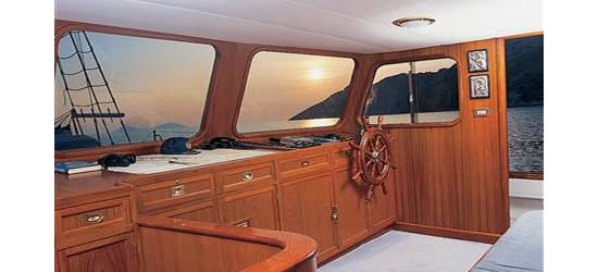 M/S Hermina