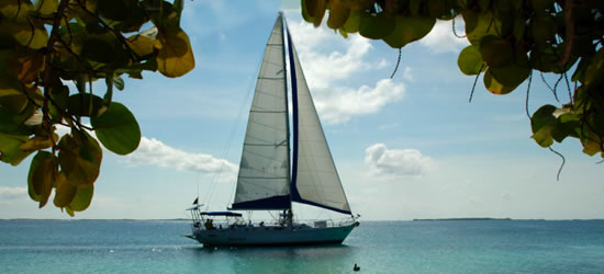 S/Y El Bicho