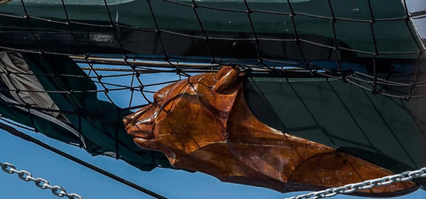 Schooner Arktos