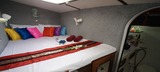 Oasis Catamaran