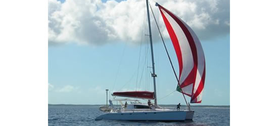Leopard 47