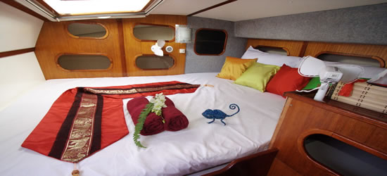 Oasis Catamaran