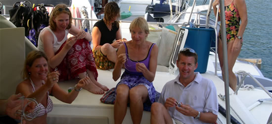 Mozart Catamaran