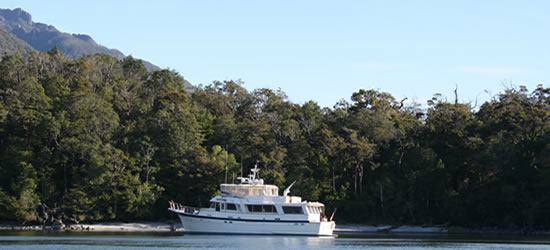 Hatteras 65