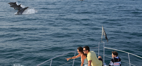 Sunseeker 68 Sports Yacht Maia Fair