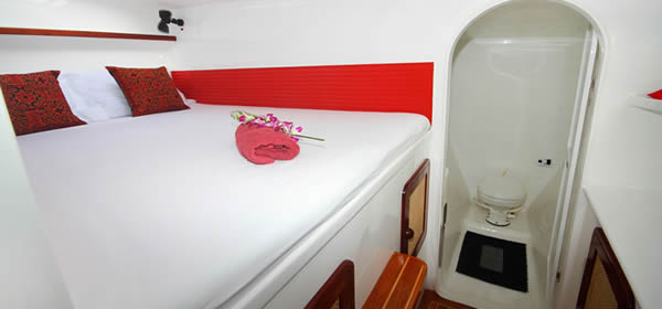 Catamaran Amadeus