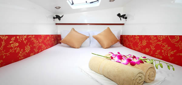 Catamaran Amadeus