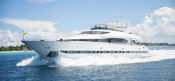 Maiora 31 Sea Jaguar