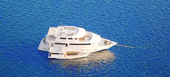M/Y Aurora