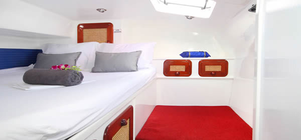 Catamaran Amadeus