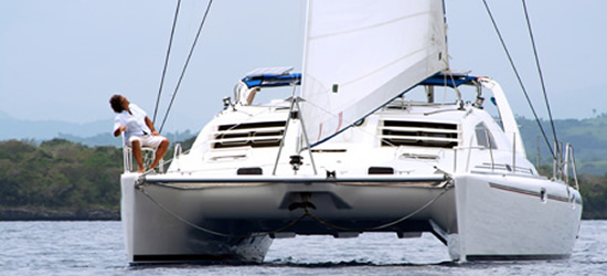Leopard 38