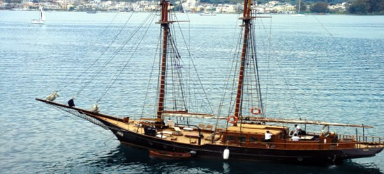 Prince De Neufchatel