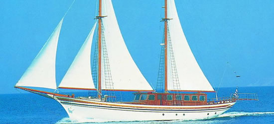 M/S Hermina