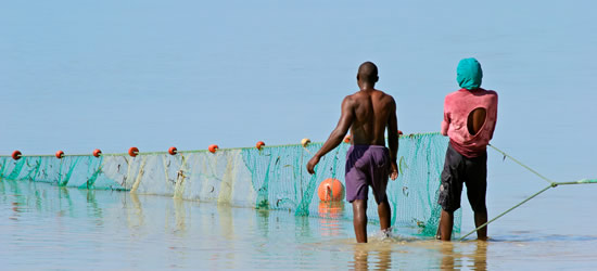 Nets Casting, Mozambico