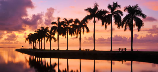 Alba a Cutler Bay, Miami