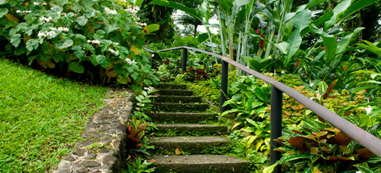 Giardino Botanico, Saint Vincent